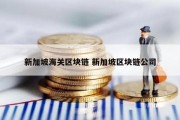 新加坡海关区块链 新加坡区块链公司