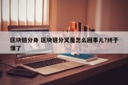 区块链分身 区块链分叉是怎么回事儿?终于懂了