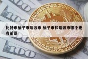 比特币柚子币瑞波币 柚子币和瑞波币哪个更有前景