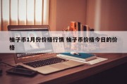 柚子币1月份价格行情 柚子币价格今日的价格