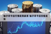 柚子币今日行情走势前景 柚子币今日价格走势