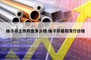柚子币上市开盘多少钱 柚子币最初发行价格