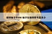 推特柚子币BM 柚子社推特账号是多少